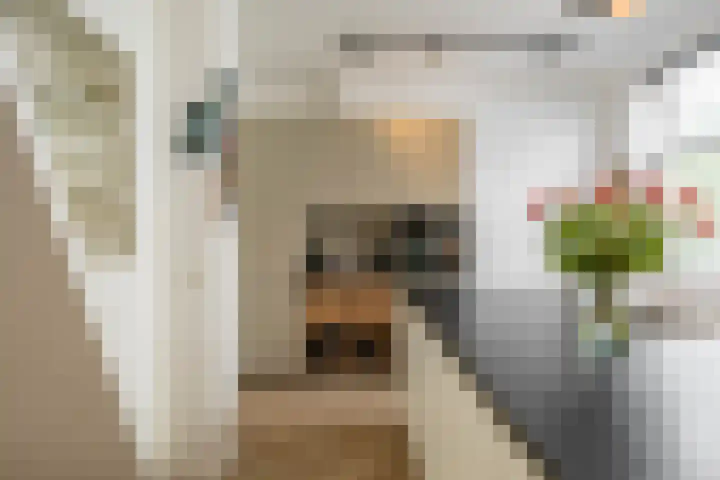Nieuwe Blekerstraat 17 Groningen thumbnail 36