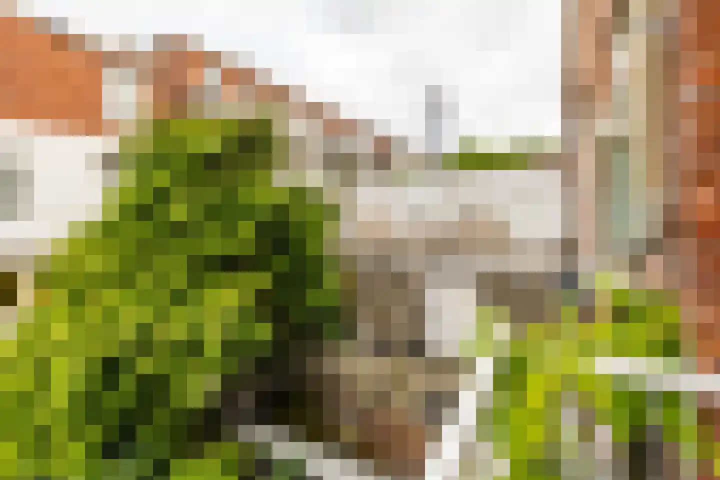 Nieuwe Blekerstraat 17 Groningen thumbnail 45