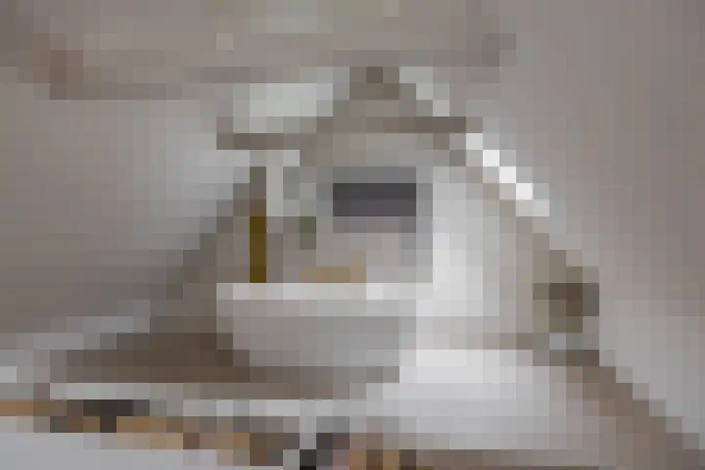 Nieuwe Blekerstraat 17 Groningen thumbnail 54