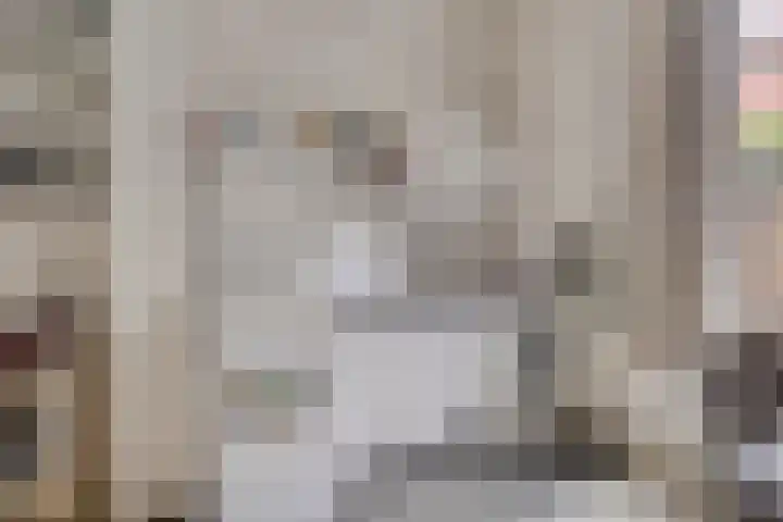 Nieuwe Blekerstraat 25 Groningen thumbnail 12