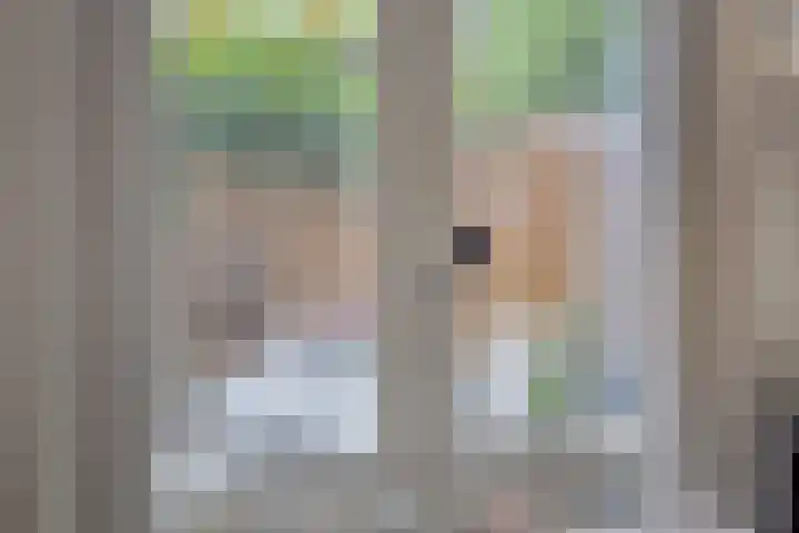 Nieuwe Blekerstraat 25 Groningen thumbnail 13