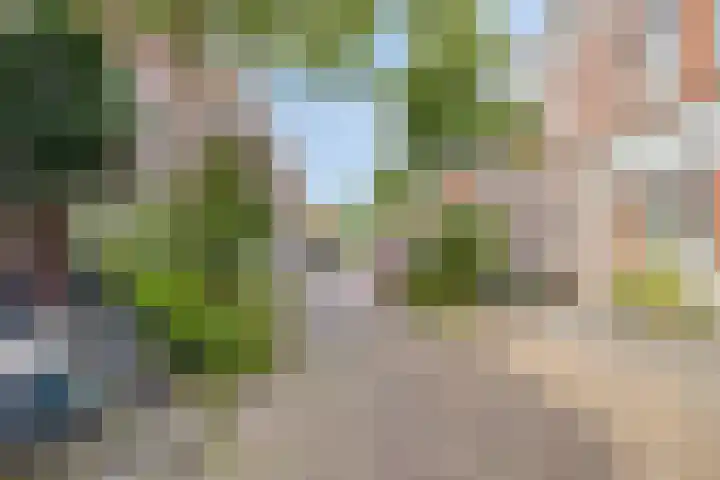 Nieuwe Blekerstraat 25 Groningen thumbnail 19