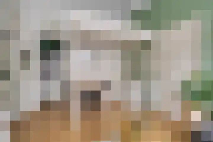 Nieuwe Blekerstraat 25 Groningen thumbnail 4