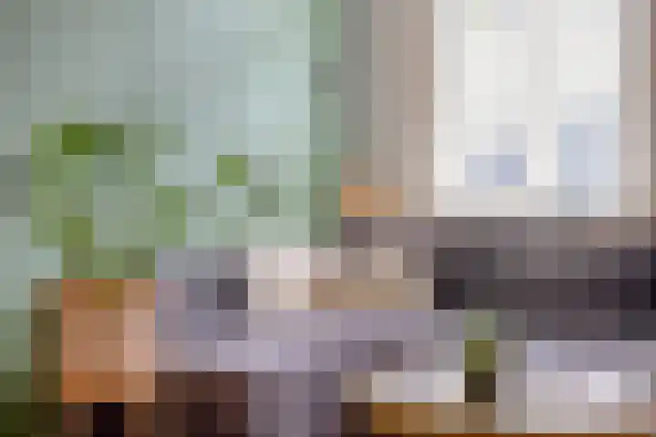 Nieuwe Blekerstraat 25 Groningen thumbnail 8