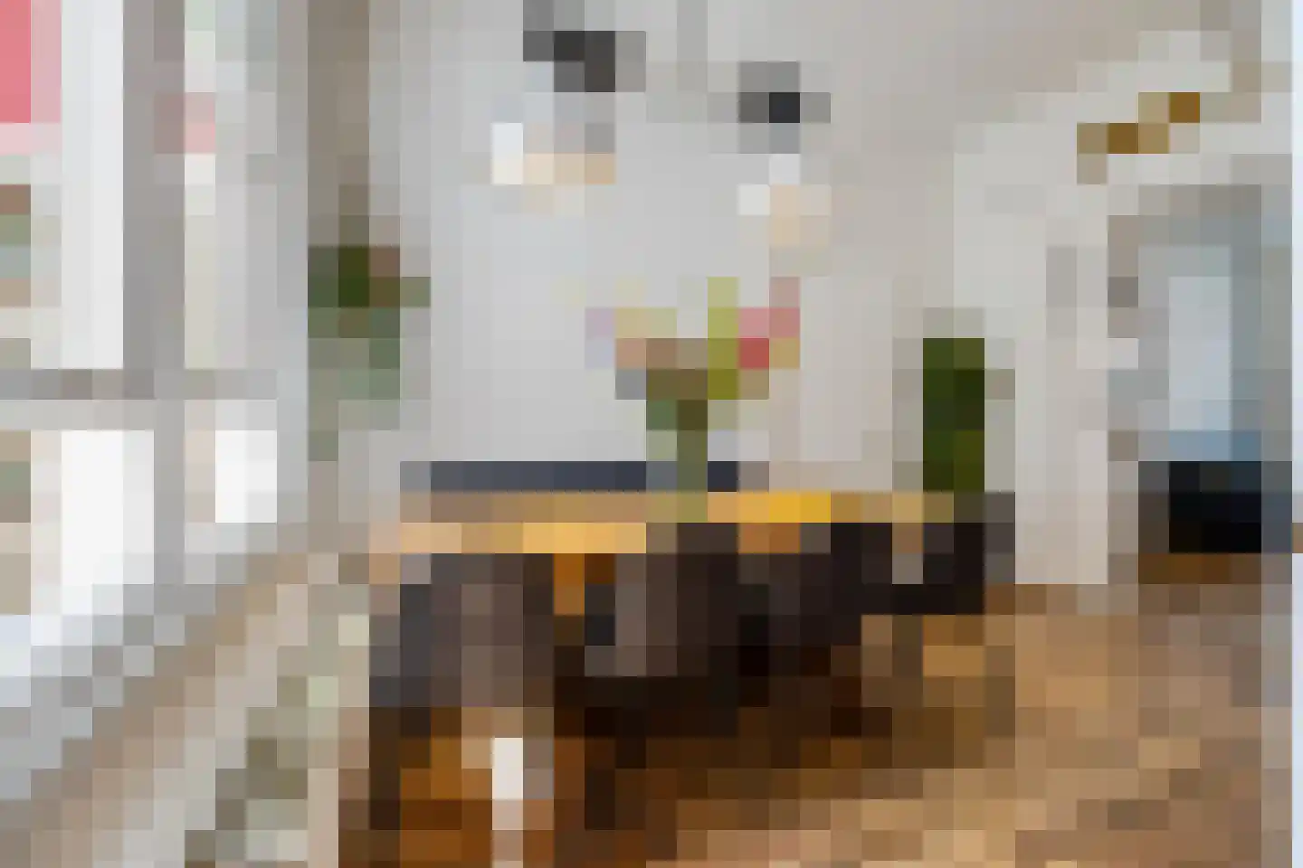 Nieuwe Blekerstraat 30 Groningen thumbnail 18