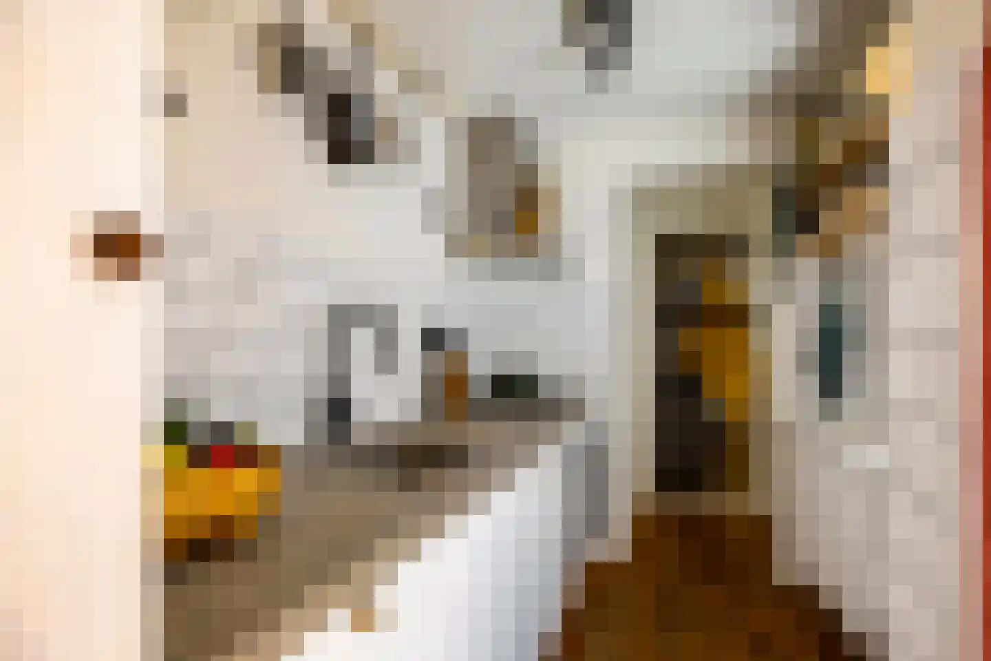 Nieuwe Blekerstraat 30 Groningen thumbnail 21
