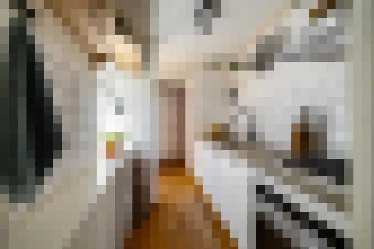 Nieuwe Blekerstraat 30 Groningen thumbnail 22