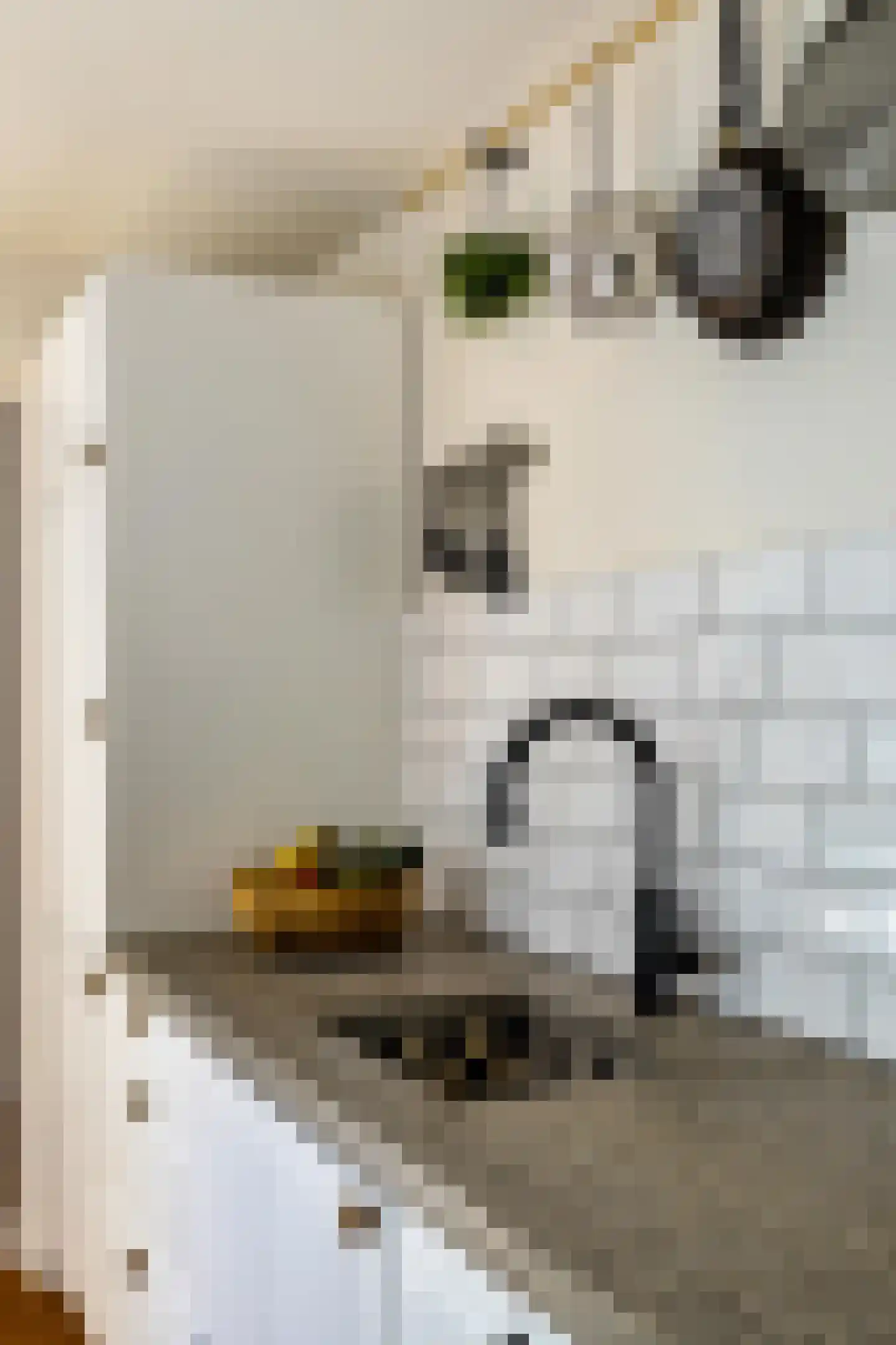 Nieuwe Blekerstraat 30 Groningen thumbnail 23