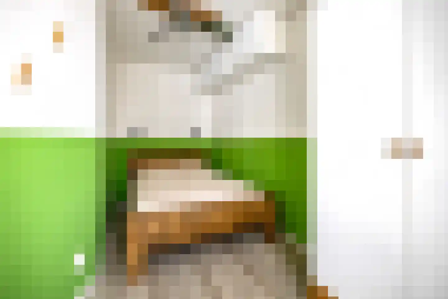 Nieuwe Blekerstraat 30 Groningen thumbnail 29
