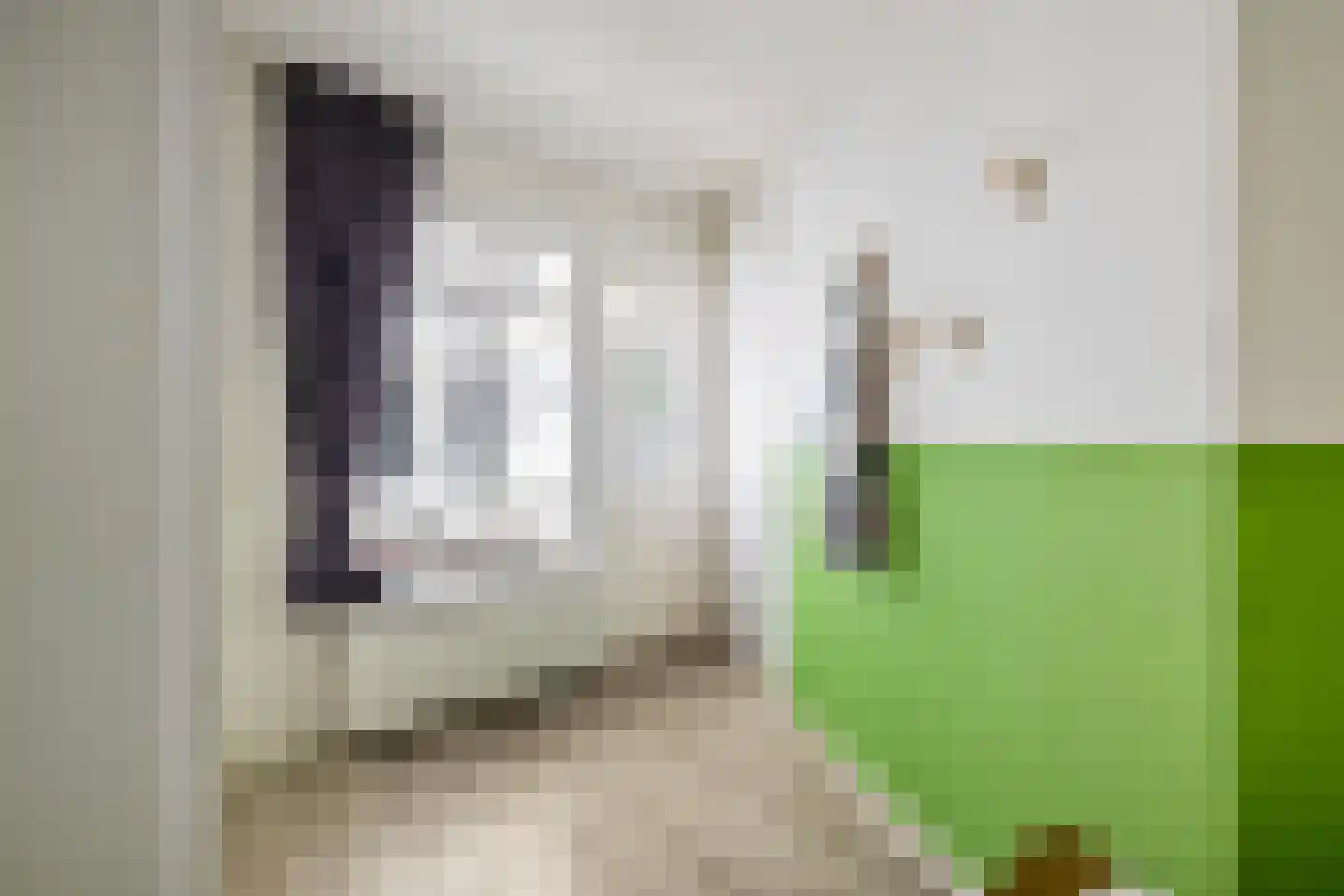 Nieuwe Blekerstraat 30 Groningen thumbnail 30