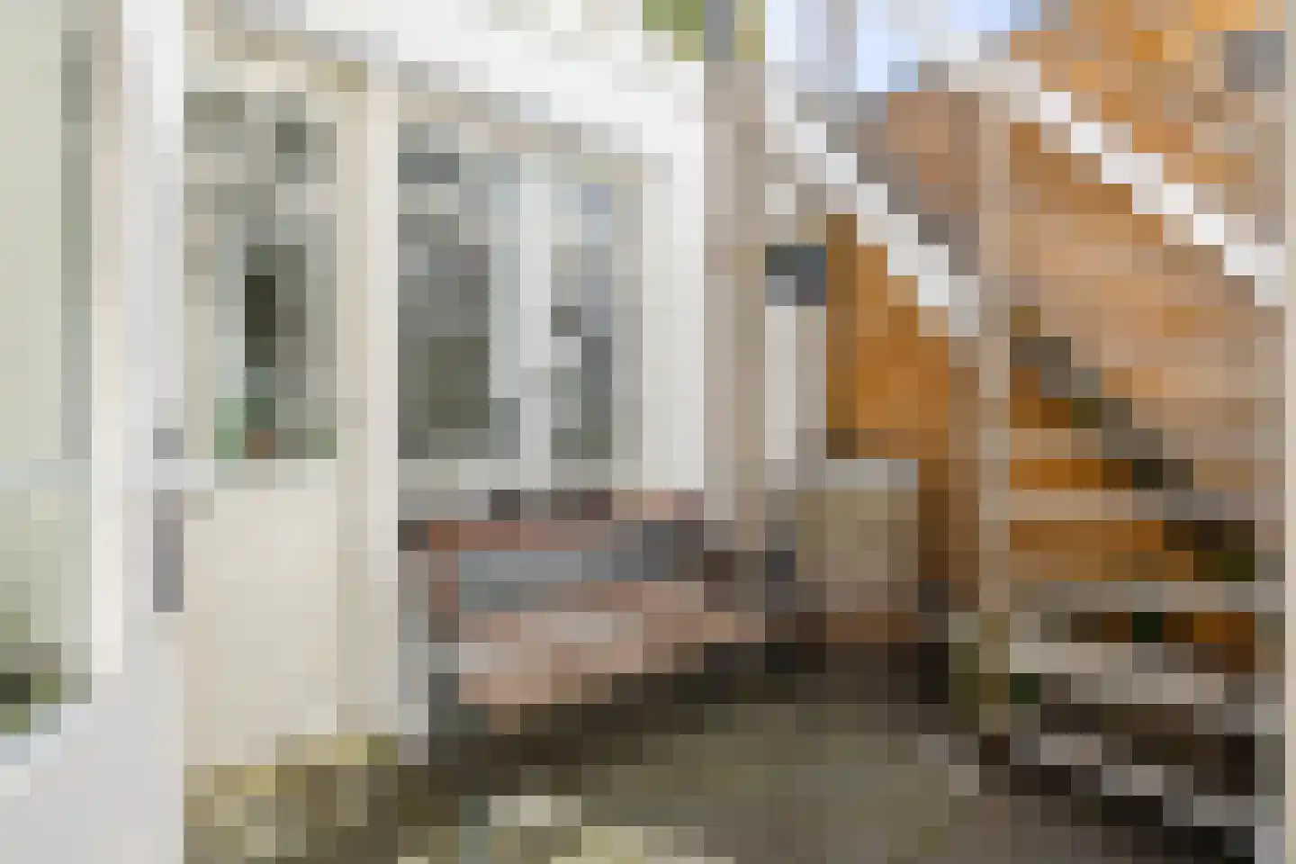 Nieuwe Blekerstraat 30 Groningen thumbnail 33