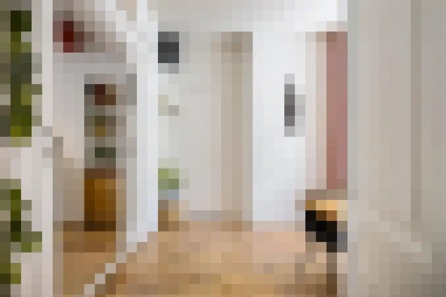 Nieuwe Blekerstraat 30 Groningen thumbnail 8