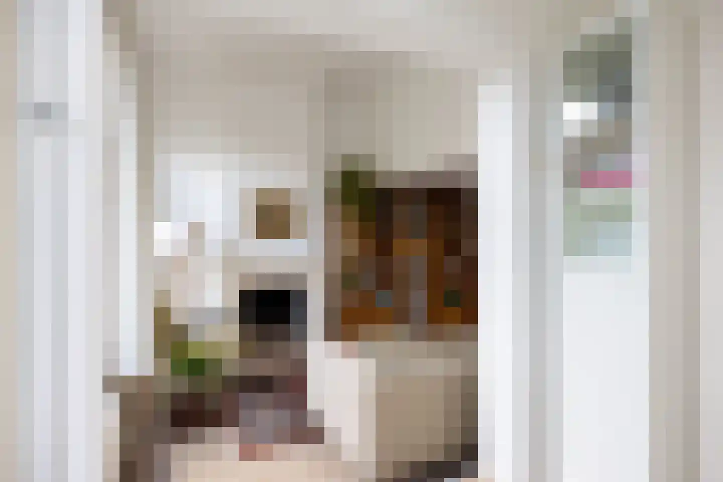 Nieuwe Blekerstraat 31 a Groningen thumbnail 13