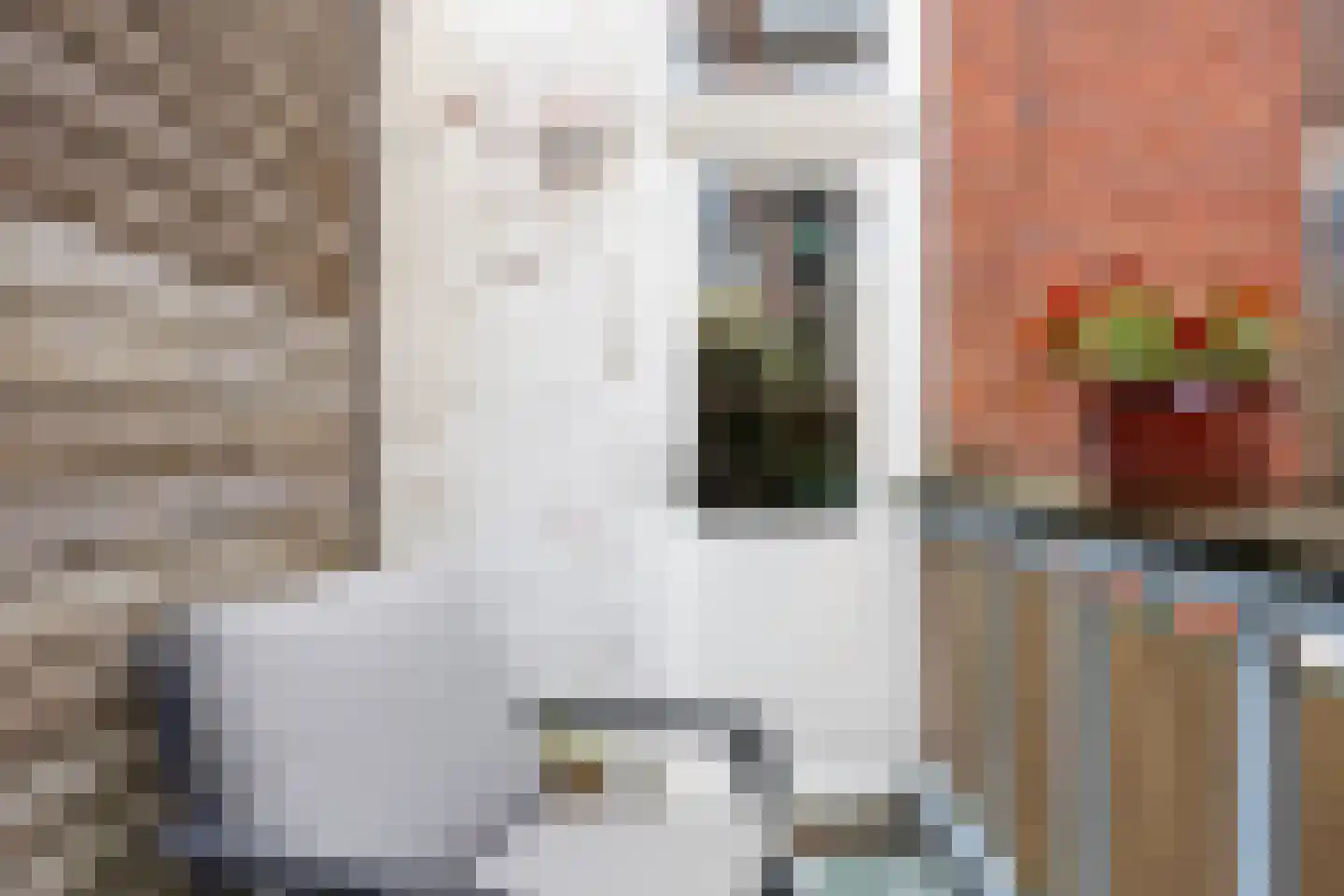 Nieuwe Blekerstraat 31 a Groningen thumbnail 20