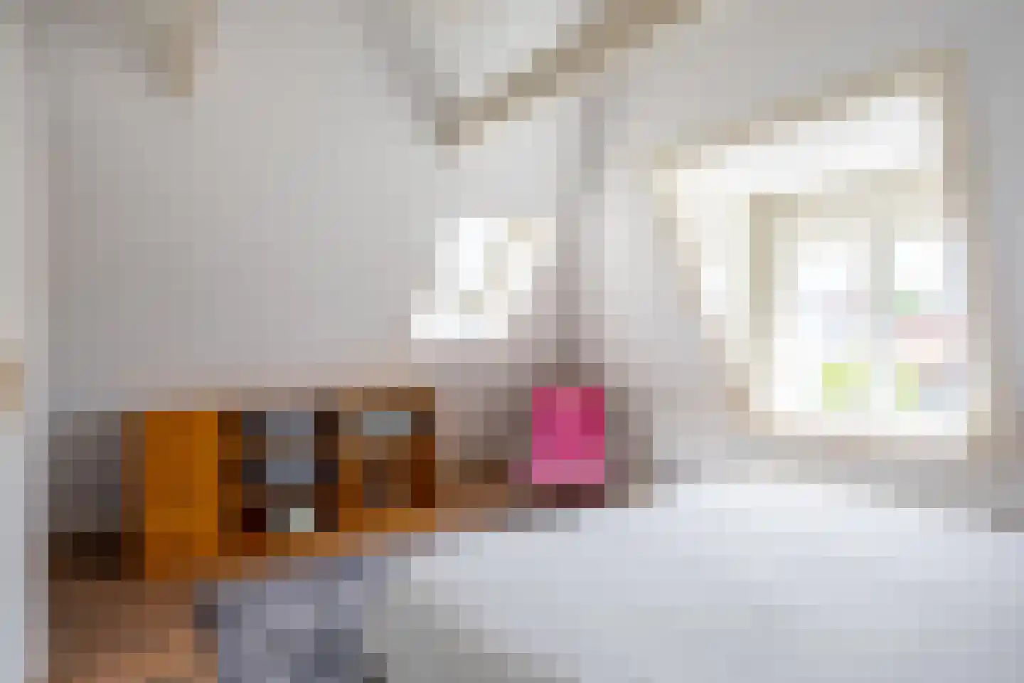 Nieuwe Blekerstraat 31 a Groningen thumbnail 23