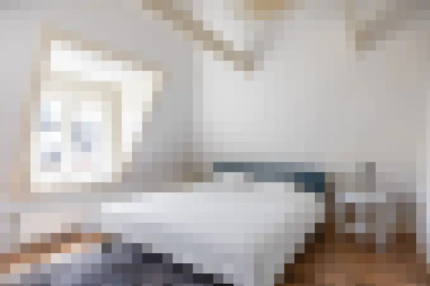 Nieuwe Blekerstraat 31 a Groningen thumbnail 24