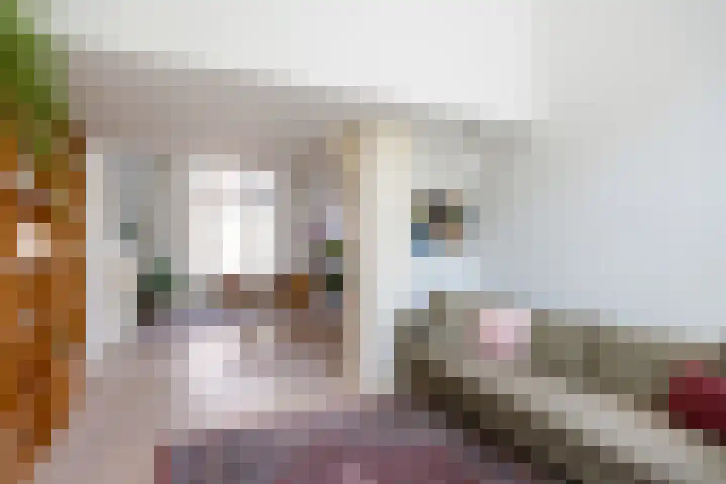 Nieuwe Blekerstraat 31 a Groningen thumbnail 4