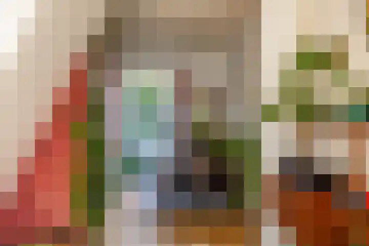 Nieuwe Blekerstraat 39 Groningen thumbnail 11