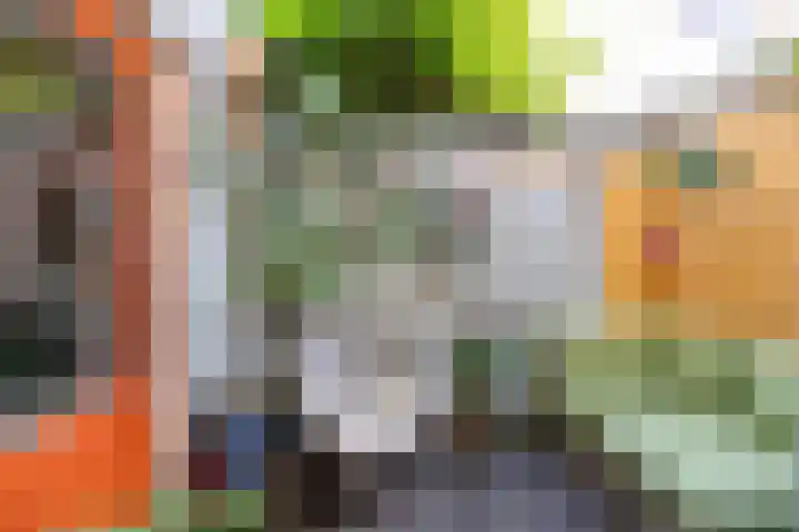 Nieuwe Blekerstraat 39 Groningen thumbnail 24