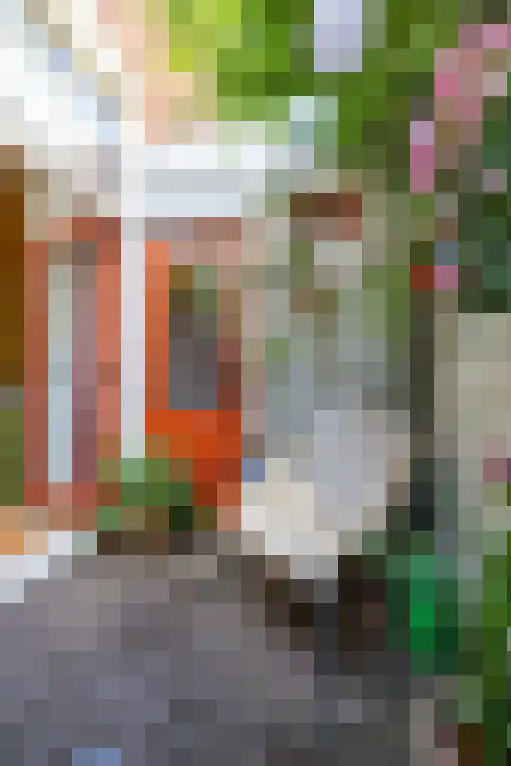 Nieuwe Blekerstraat 39 Groningen thumbnail 25