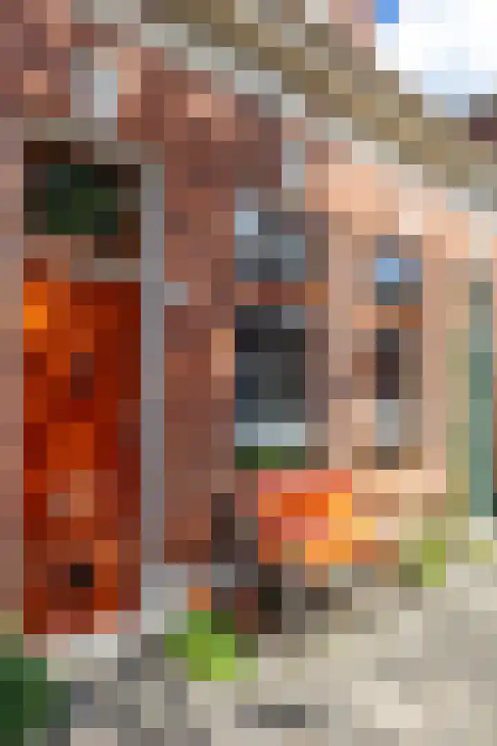 Nieuwe Blekerstraat 39 Groningen thumbnail 26