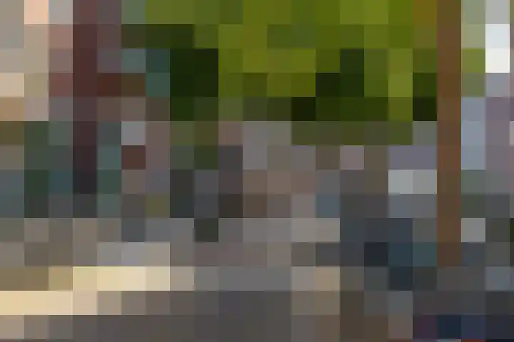 Nieuwe Blekerstraat 39 Groningen thumbnail 30