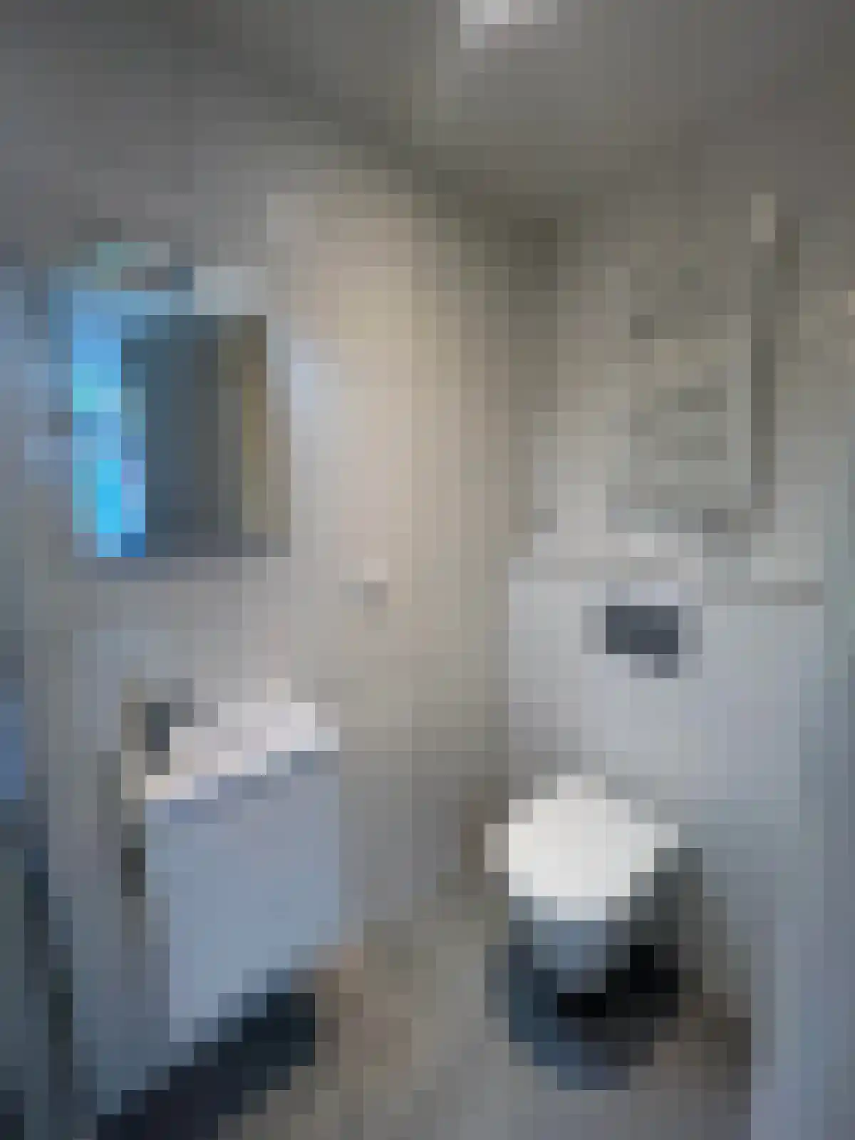 Nieuwe Blekerstraat 4 Groningen thumbnail 6
