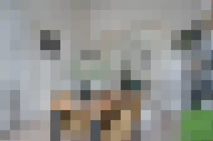 Nieuwe Blekerstraat 5 a Groningen thumbnail 17