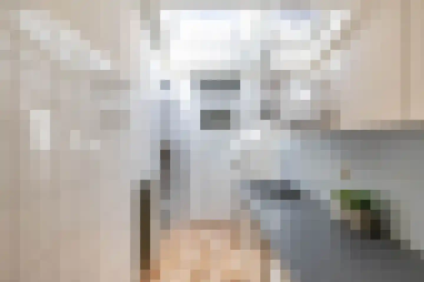 Nieuwe Blekerstraat 59 Groningen thumbnail 16