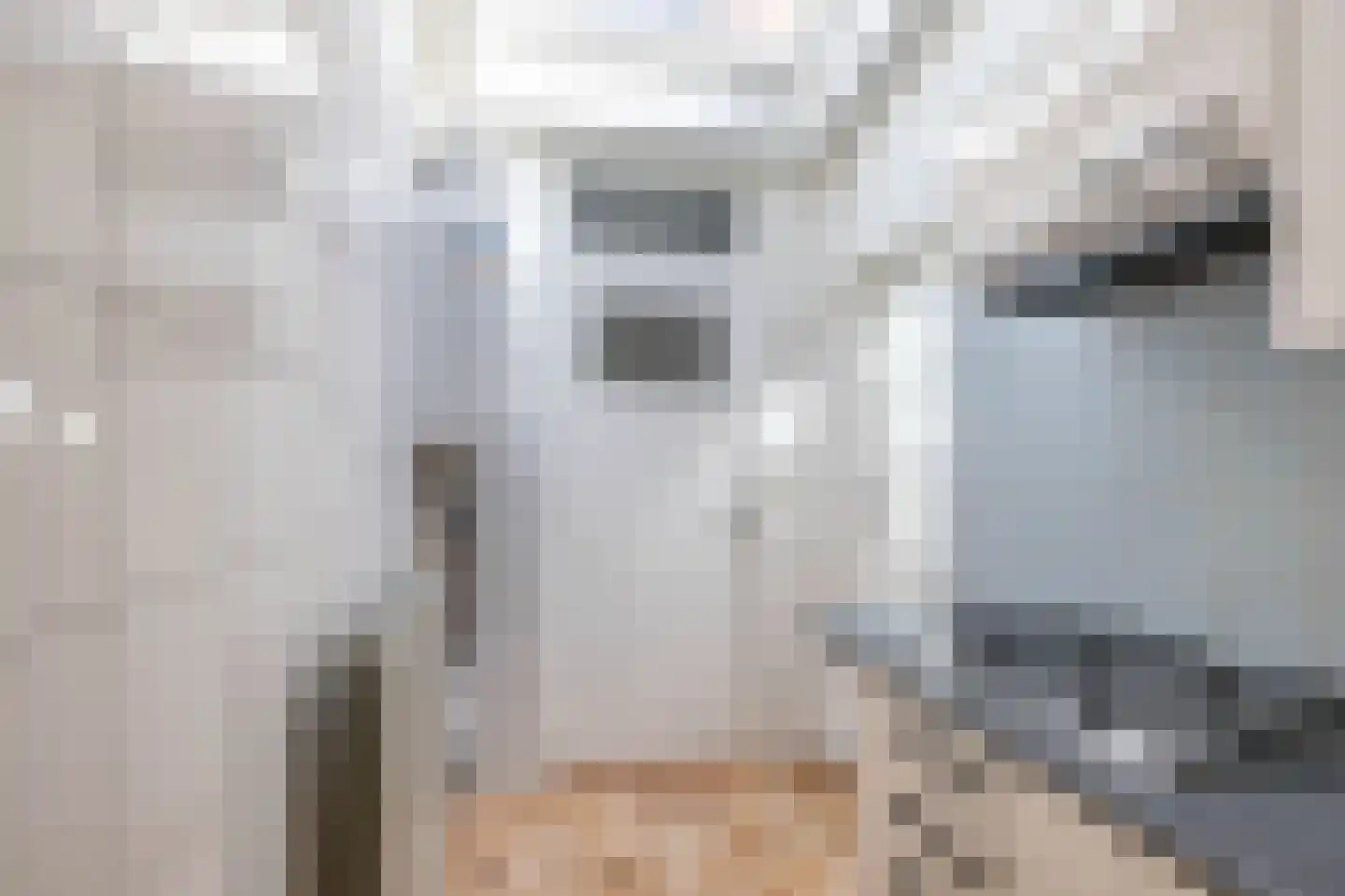 Nieuwe Blekerstraat 59 Groningen thumbnail 17