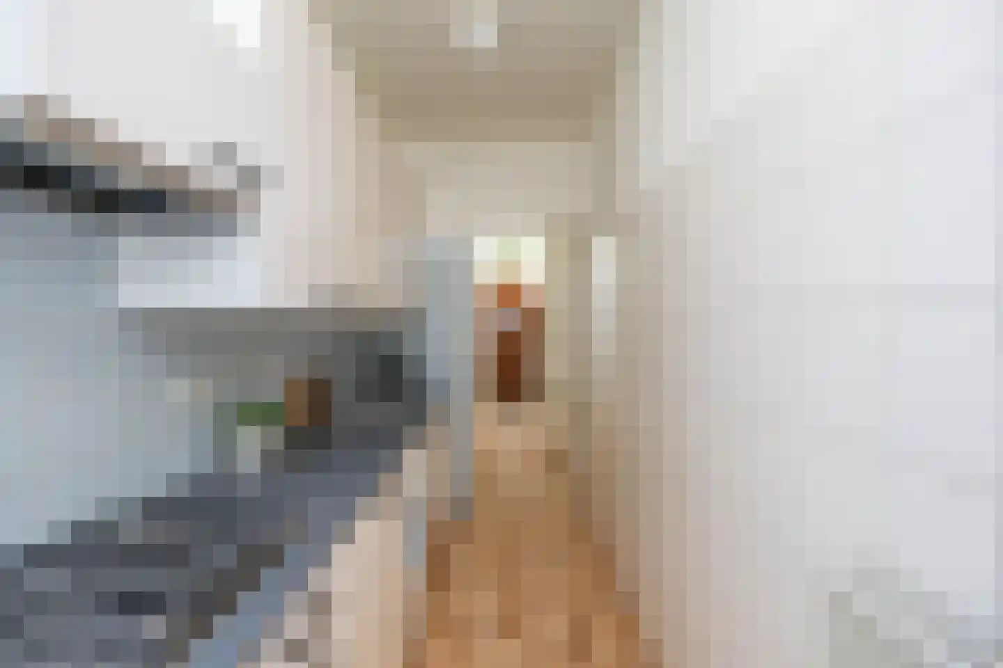 Nieuwe Blekerstraat 59 Groningen thumbnail 18
