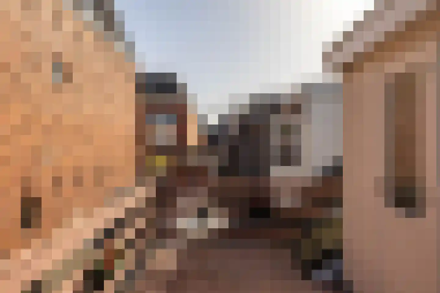 Nieuwe Blekerstraat 59 Groningen thumbnail 29
