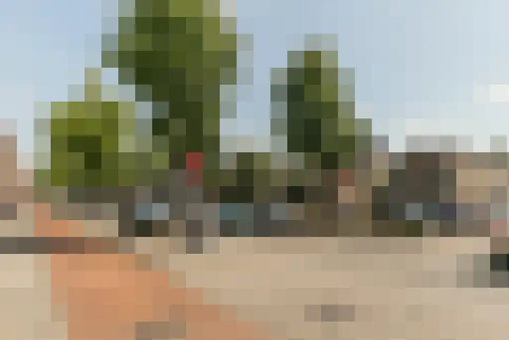 Nieuwe Blekerstraat 59 Groningen thumbnail 31