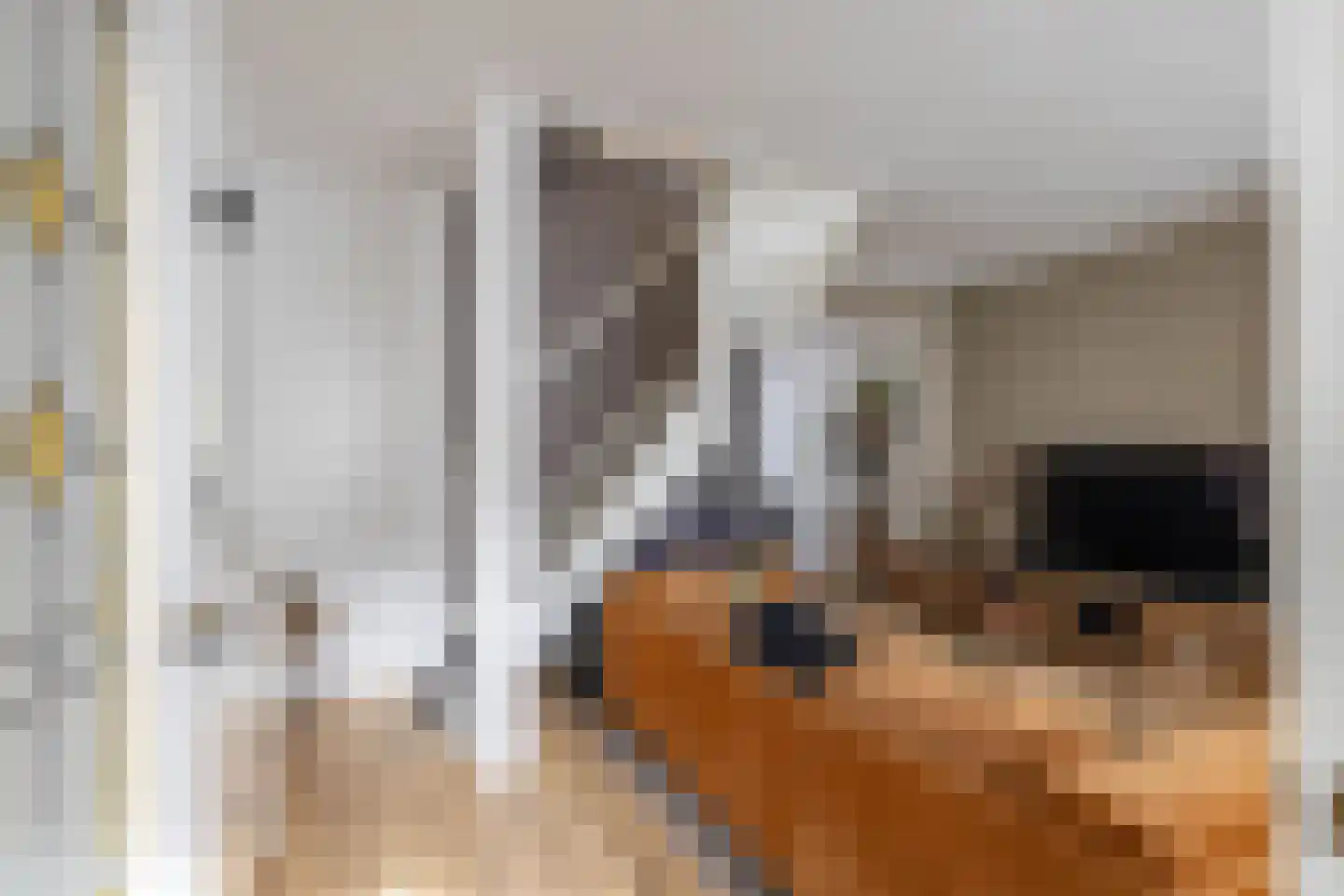 Nieuwe Blekerstraat 61 Groningen thumbnail 10
