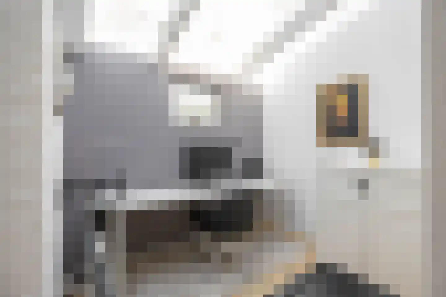 Nieuwe Blekerstraat 61 Groningen thumbnail 22