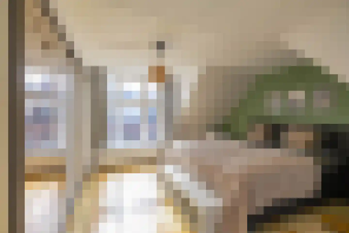 Nieuwe Blekerstraat 61 Groningen thumbnail 28