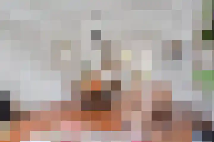 Nieuwe Blekerstraat 81 Groningen thumbnail 13