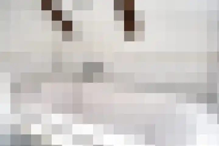 Nieuwe Blekerstraat 81 Groningen thumbnail 23