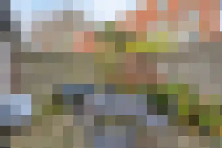 Nieuwe Blekerstraat 81 Groningen thumbnail 4