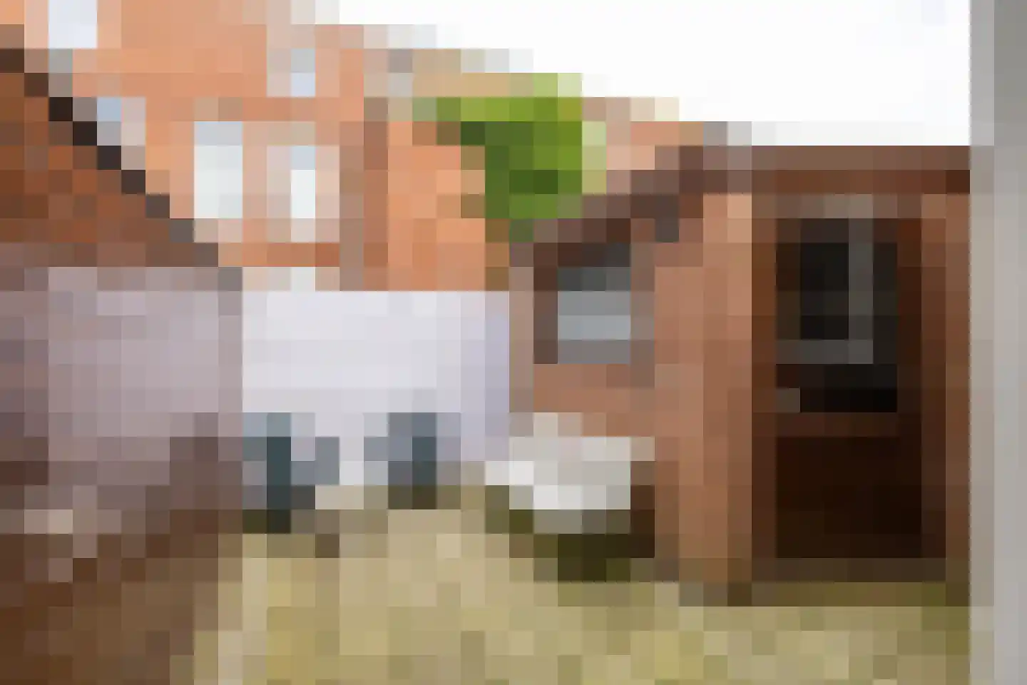 Nieuwe Blekerstraat 85 Groningen thumbnail 27