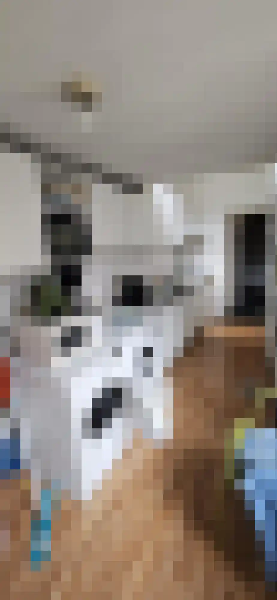 Nieuwe Blekerstraat Groningen thumbnail 4