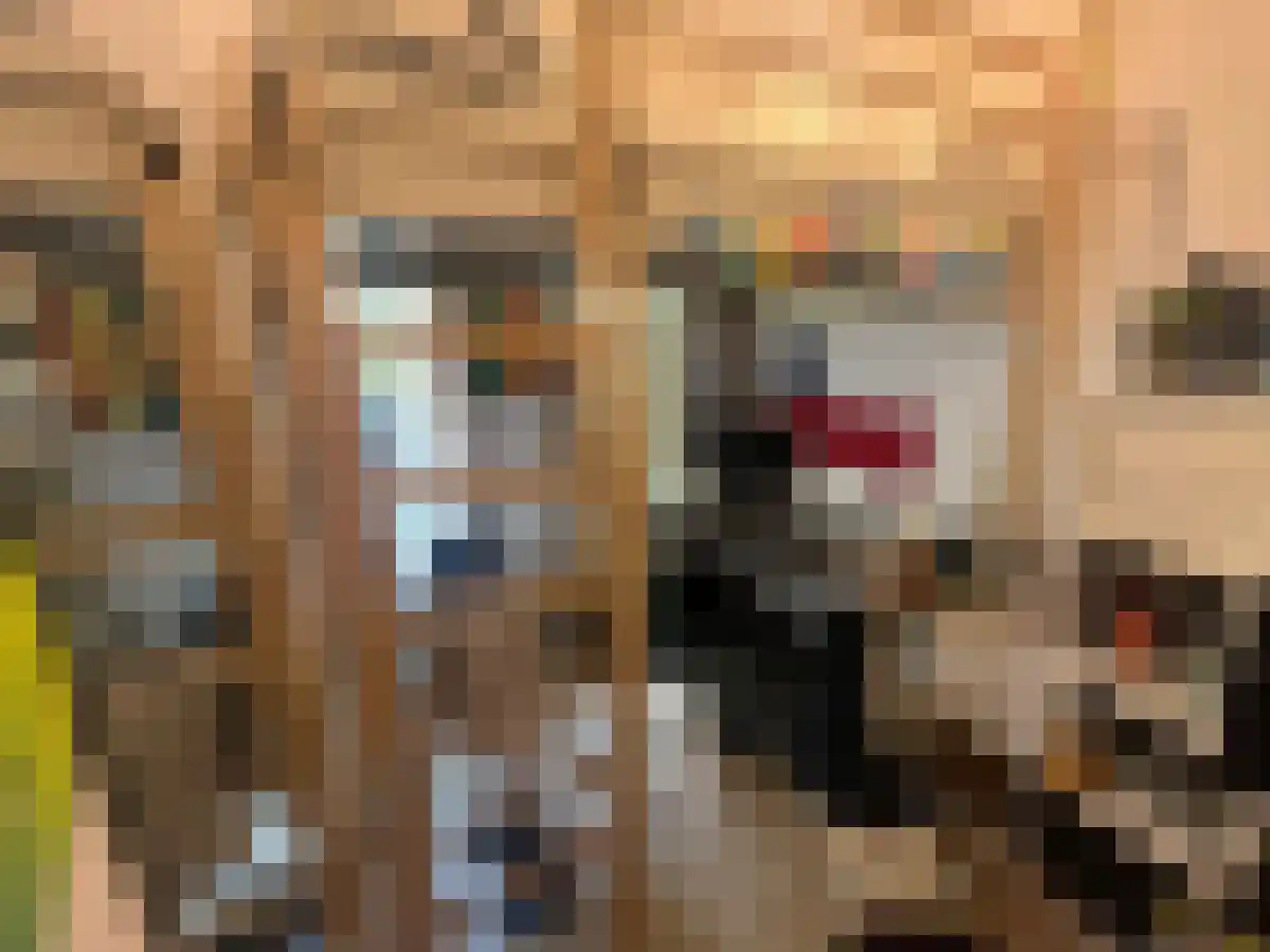 Nieuwe Blekerstraat Groningen thumbnail 6