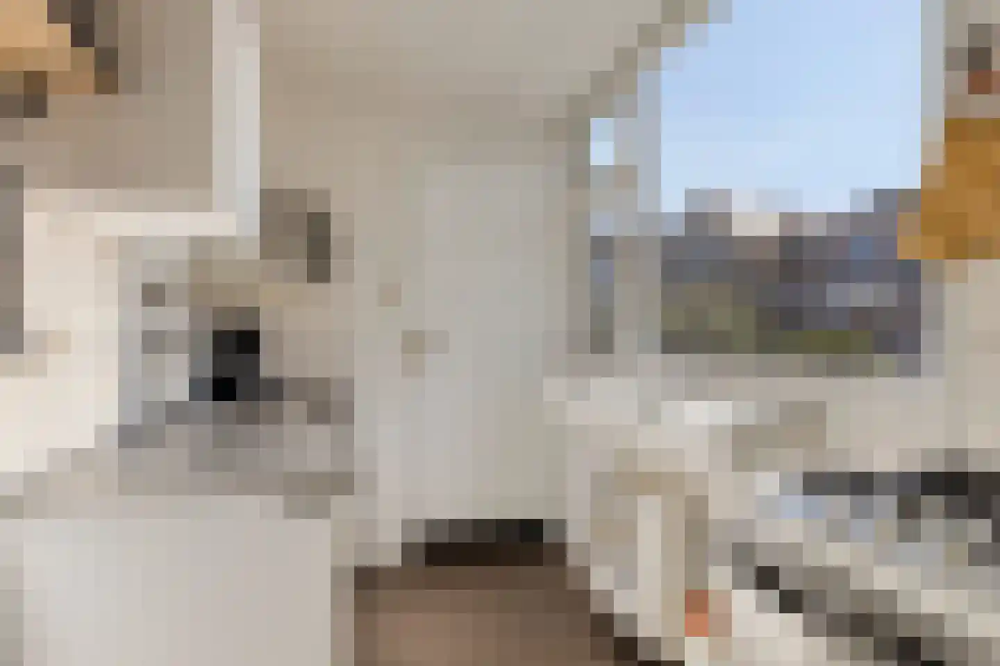 Nieuwe Bogerdstraat 47 Zierikzee thumbnail 29