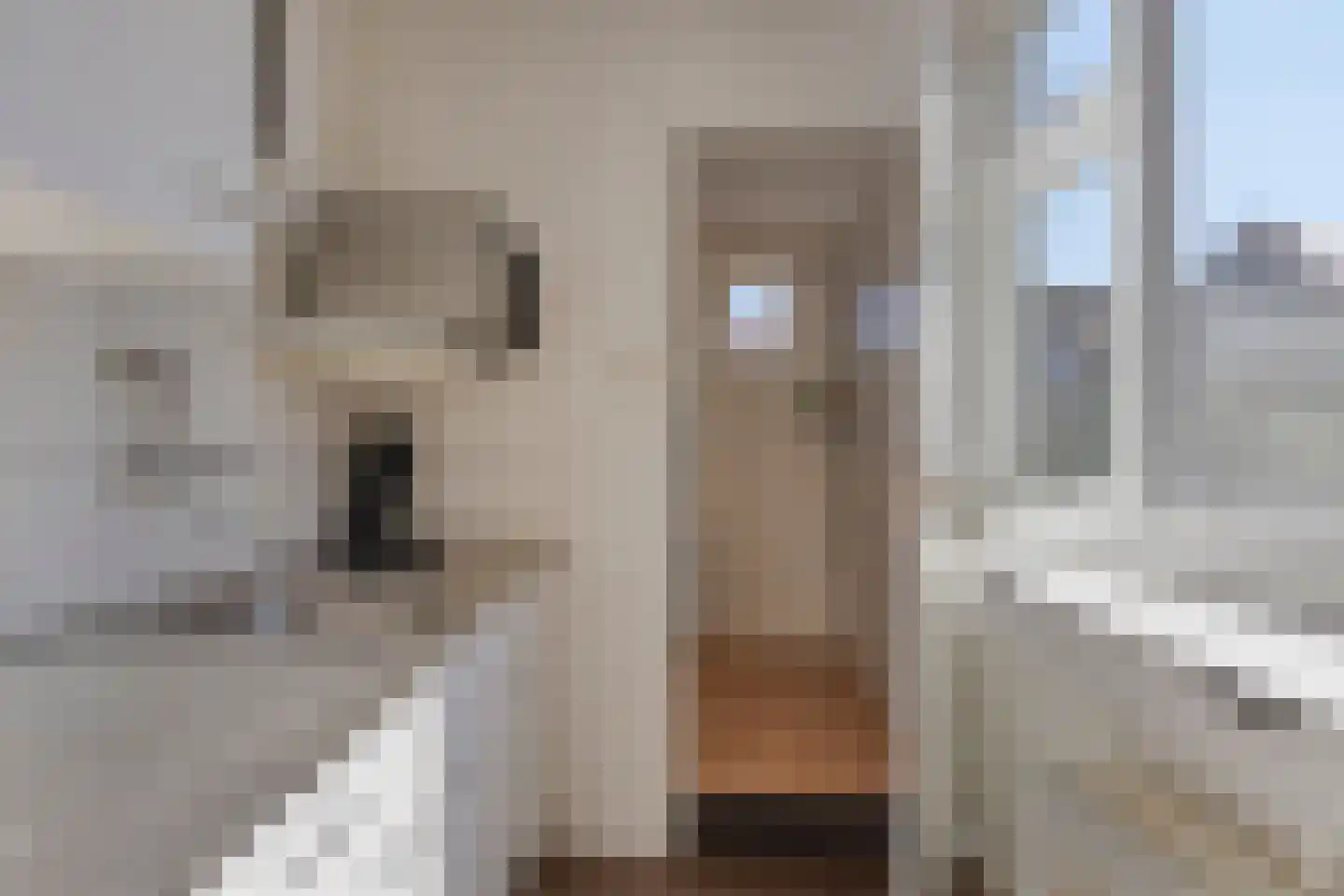 Nieuwe Bogerdstraat 47 Zierikzee thumbnail 30