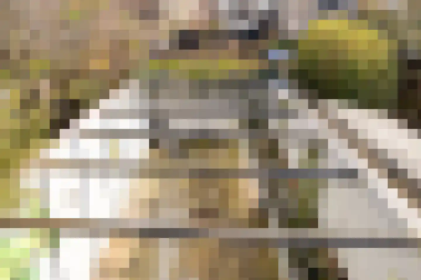 Nieuwe Bogerdstraat 47 Zierikzee thumbnail 40