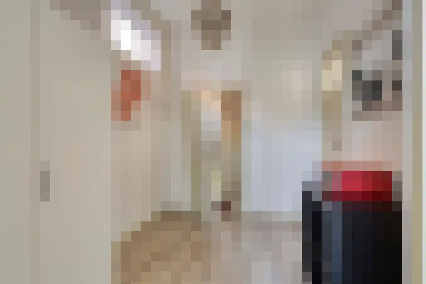 Nieuwe Bogerdstraat 47 Zierikzee thumbnail 42