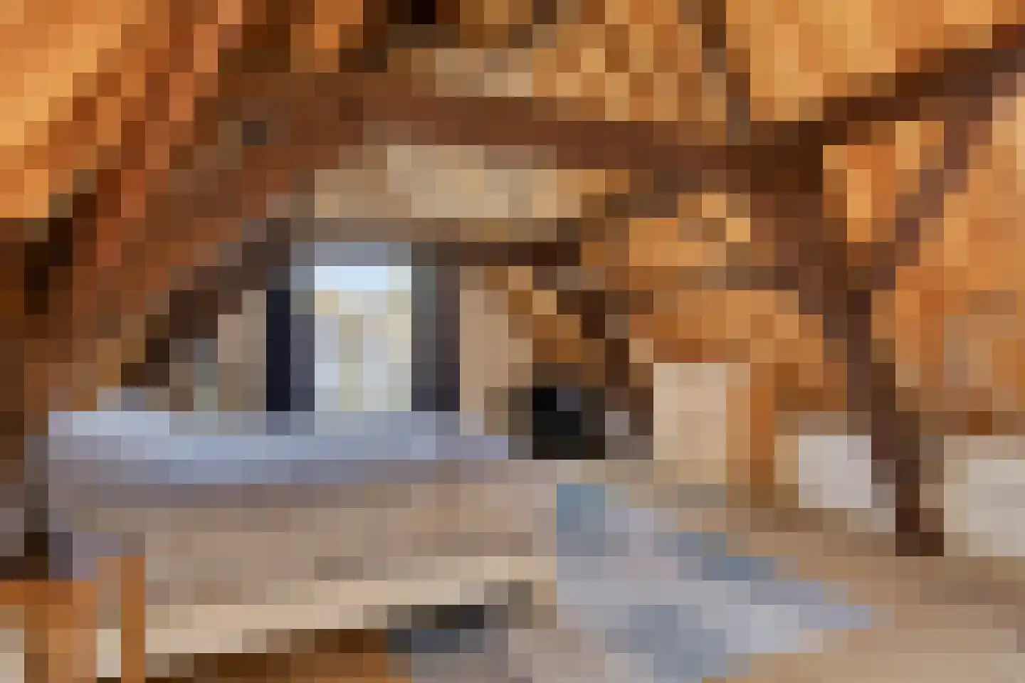 Nieuwe Bogerdstraat 47 Zierikzee thumbnail 49