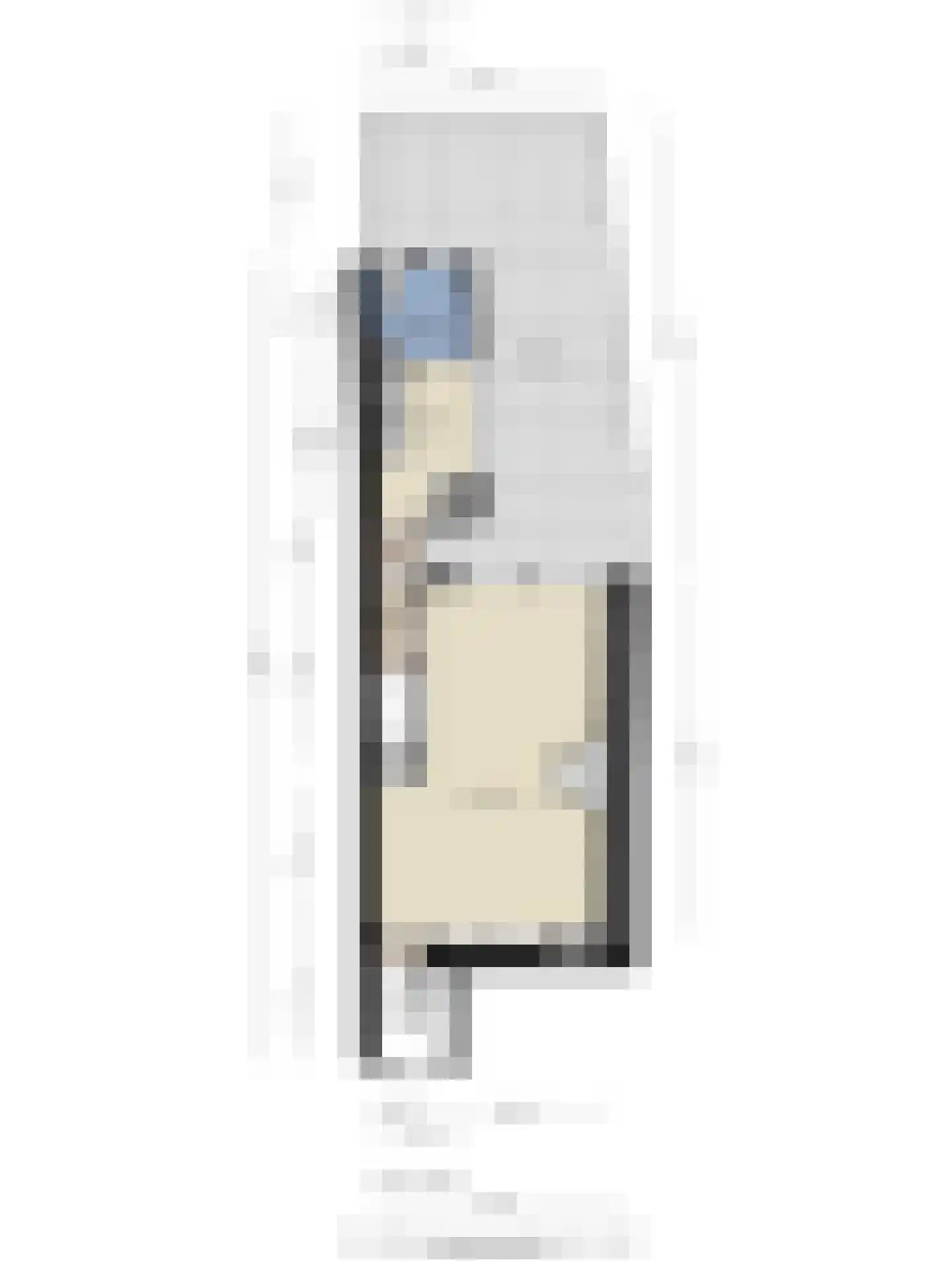 Nieuwe Bogerdstraat 47 Zierikzee thumbnail 55