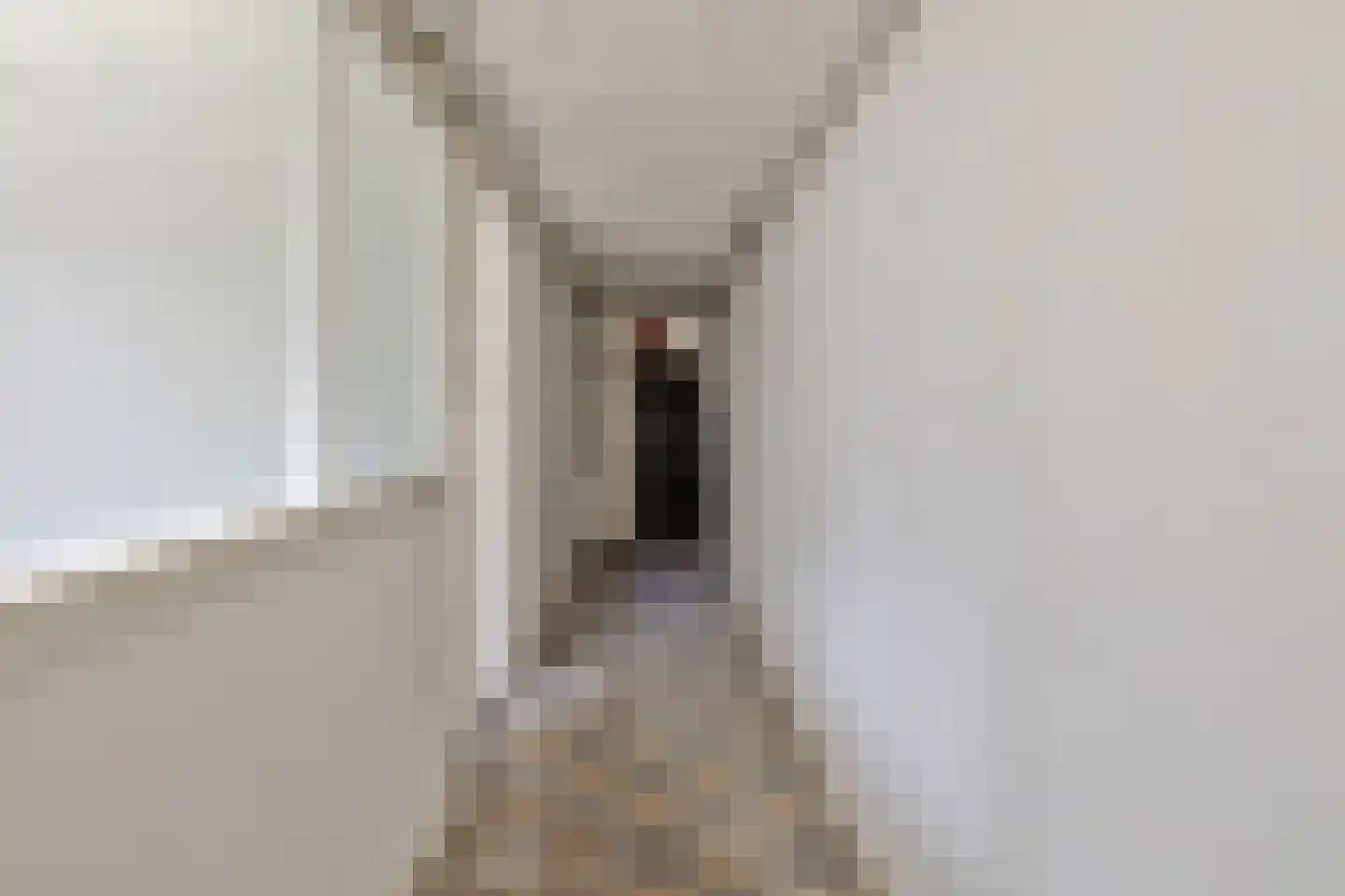 Nieuwe Bogerdstraat 49 Zierikzee thumbnail 23