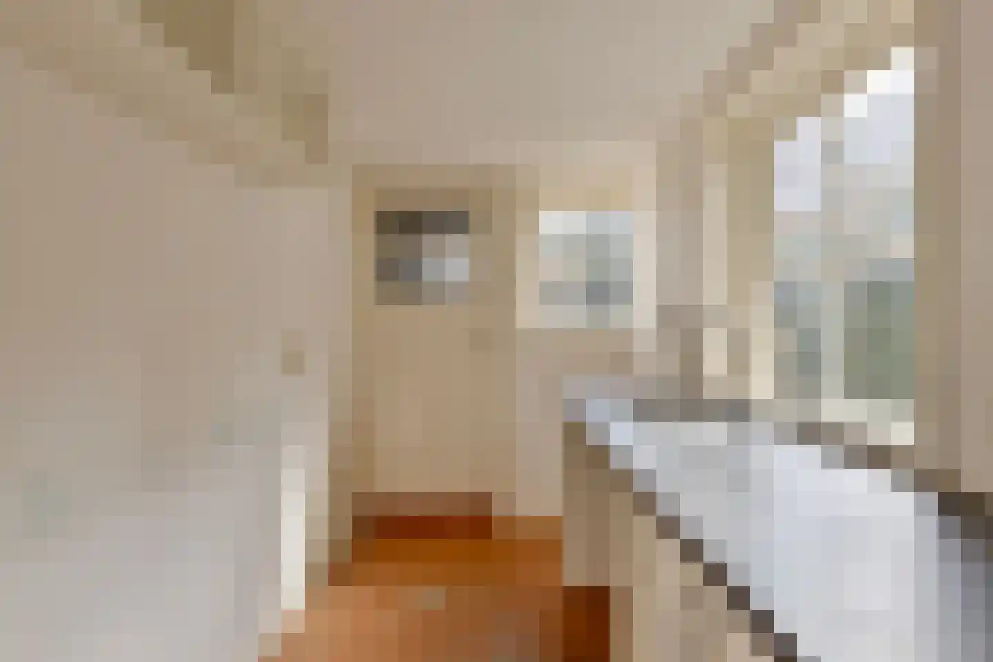 Nieuwe Bogerdstraat 49 Zierikzee thumbnail 29